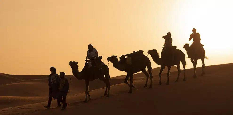 camel trekking
