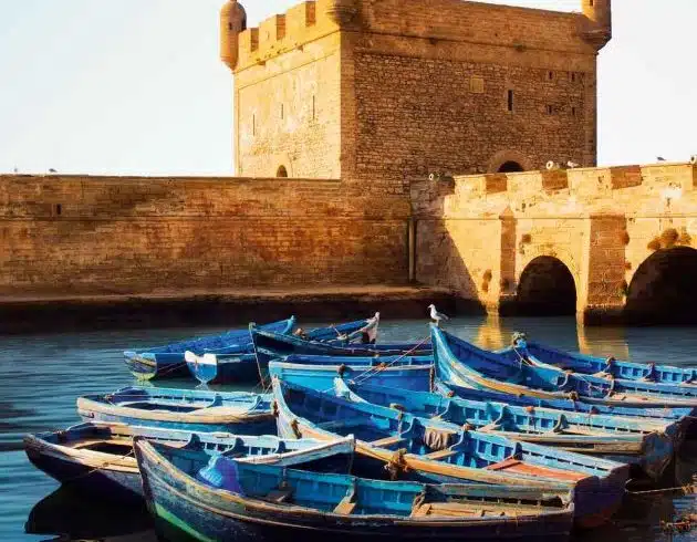 essaouira excursion