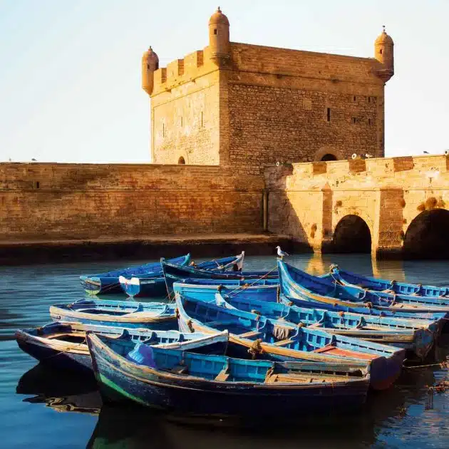 essaouira excursion