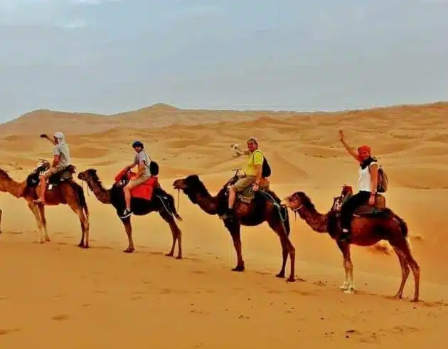 Excellent 4 Days Desert Tour from Marrakech to Fes|4 Days Marrakech Desert Tour to fez