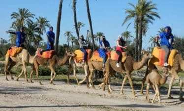 Camel riding in Marrakech
