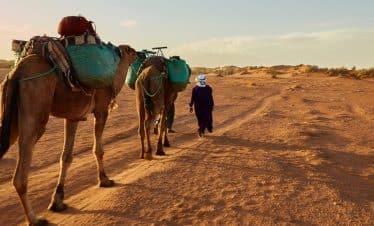 camel-trek-from-MFG