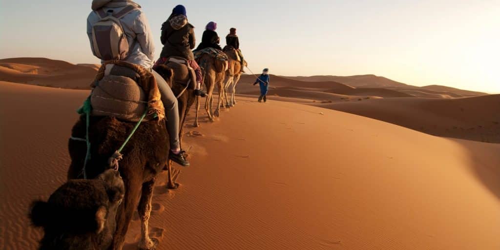 camel trekking