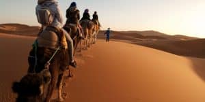 camel trekking